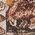 Color Swatch - Brown