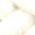 Color Swatch - Ivory