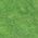 Color Swatch - Green Print