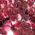 Color Swatch - Red