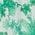 Color Swatch - Green