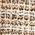 Color Swatch - Brown Multi