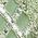 Color Swatch - Sage