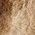 Color Swatch - Ivory
