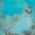 Color Swatch - Turquoise/Silver