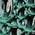 Color Swatch - Pine