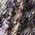 Color Swatch - Purple