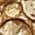 Color Swatch - Gold
