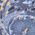 Color Swatch - Blue