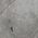 Color Swatch - Grey