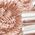 Color Swatch - Blush