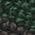 Color Swatch - Green