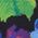 Color Swatch - Floral