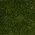 Color Swatch - Green