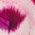 Color Swatch - Dark Magenta