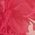 Color Swatch - Pink
