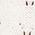 Color Swatch - White