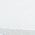 Color Swatch - White Multi/White
