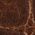 Color Swatch - Cognac