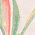 Color Swatch - White