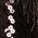 Color Swatch - Black