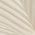 Color Swatch - Ivory