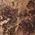 Color Swatch - Gold