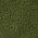 Color Swatch - Green