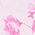 Color Swatch - Pink Print