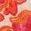 Color Swatch - Pink
