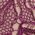 Color Swatch - Purple