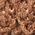 Color Swatch - Brown