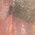 Color Swatch - PEACH/CORAL