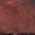 Color Swatch - Brown