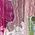 Color Swatch - Floral
