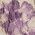 Color Swatch - Purple