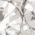 Color Swatch - Silver/Crystal