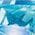 Color Swatch - Blue