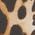 Color Swatch - Animal
