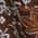 Color Swatch - Brown