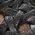 Color Swatch - Black