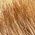 Color Swatch - Brown