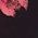 Color Swatch - Black Pink