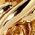 Color Swatch - Gold