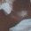 Color Swatch - Brown/Chambray