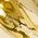 Color Swatch - Gold