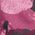 Color Swatch - Boysenberry Floret Print