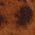 Color Swatch - Animal