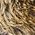 Color Swatch - Brown