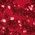 Color Swatch - Red